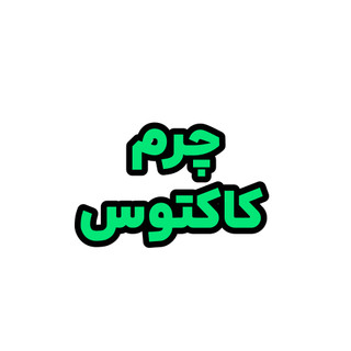 کفش های چرم کاکتوس