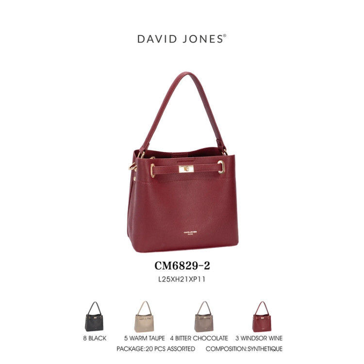 کیف آویز دیویدجونز مدل DAVID JONES CM6829-2